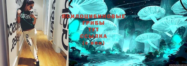 дживик Аркадак